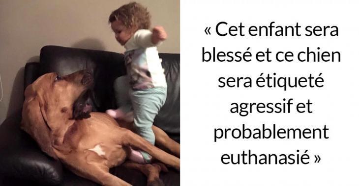 Un Expert Explique Pourquoi Il Ne Faut Jamais Laisser Les Enfants 